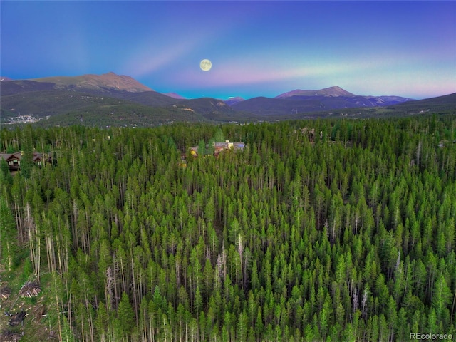 456 Peerless Dr, Breckenridge, CO 80424 - photo 4