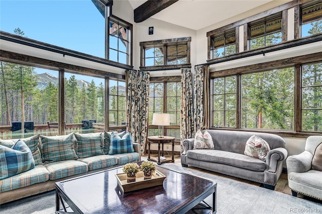 456 Peerless Dr, Breckenridge, CO 80424 - photo 12