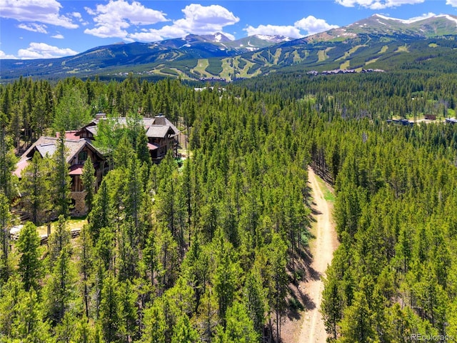 456 Peerless Dr, Breckenridge, CO 80424 - photo 23