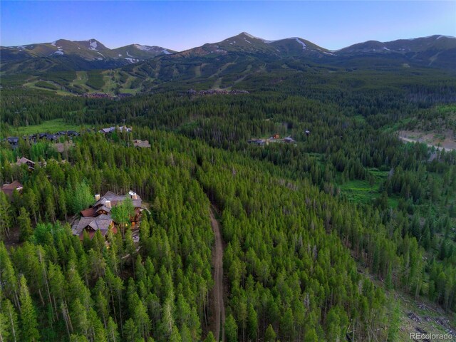 456 Peerless Dr, Breckenridge, CO 80424 - photo 47