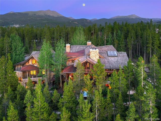 456 Peerless Dr, Breckenridge, CO 80424 - photo 48