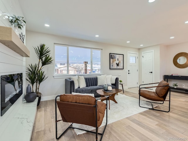 living room with a premium fireplace and light hardwood / wood-style flooring