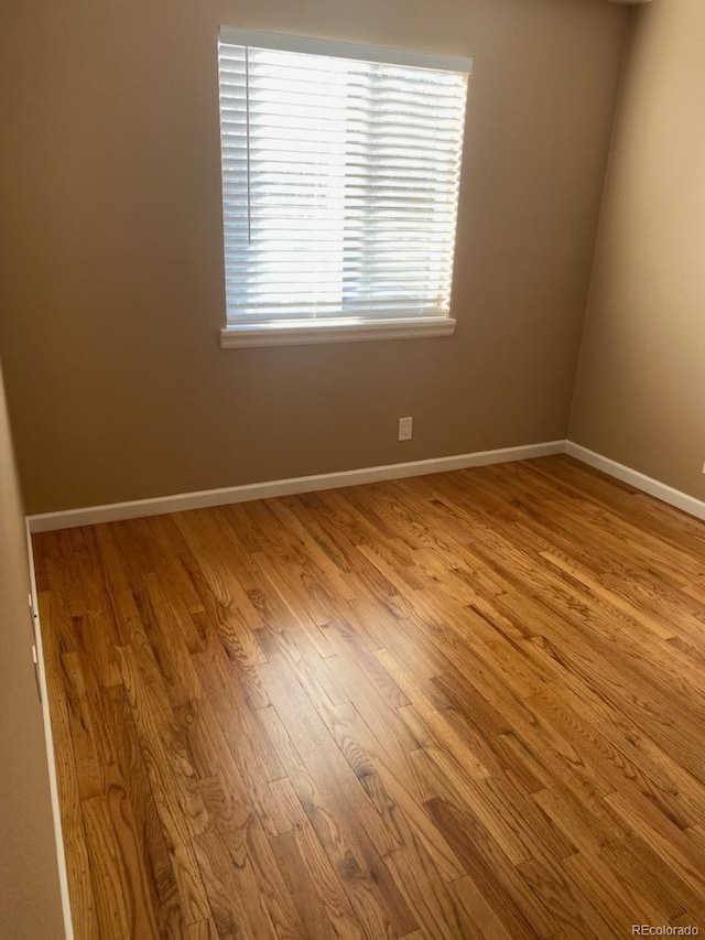 spare room with light hardwood / wood-style floors