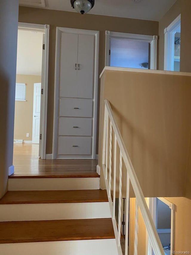 staircase with hardwood / wood-style flooring