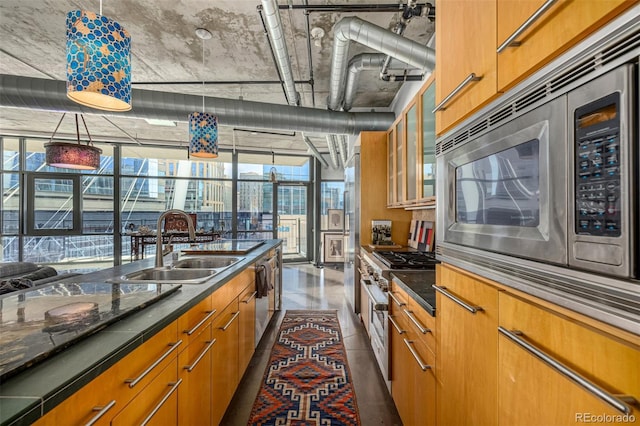 kitchen featuring a wealth of natural light, appliances with stainless steel finishes, a sink, and floor to ceiling windows