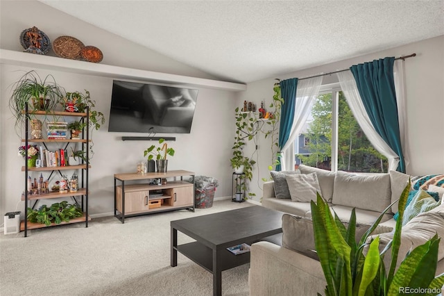 3312 Meadow Ave, Broomfield, CO 80020 - living room with carpet flooring, vaulted ceiling, and a textured ceiling