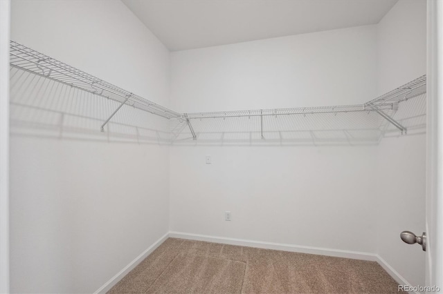 4236 Graywood Dr, Johnstown, CO 80534 - photo 19