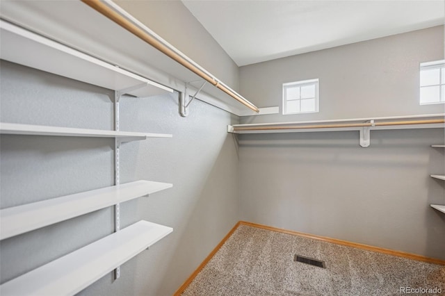 2541 Hot Springs Ct, Colorado Springs, CO 80919 - walk in closet featuring visible vents and carpet