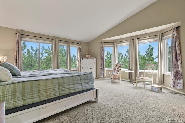 265 Lodgepole Way, Monument, CO 80132 - photo 20
