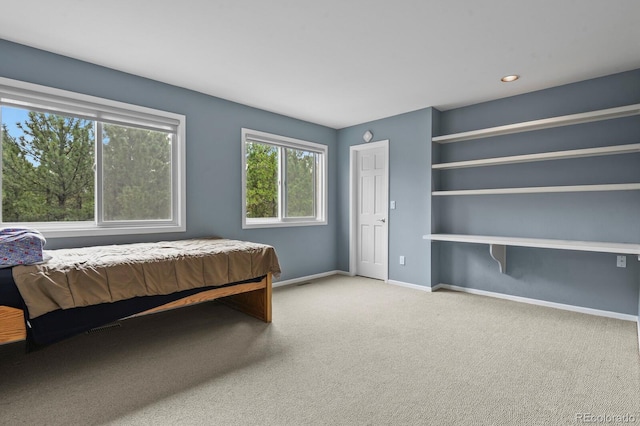 265 Lodgepole Way, Monument, CO 80132 - photo 25