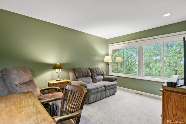 265 Lodgepole Way, Monument, CO 80132 - photo 30