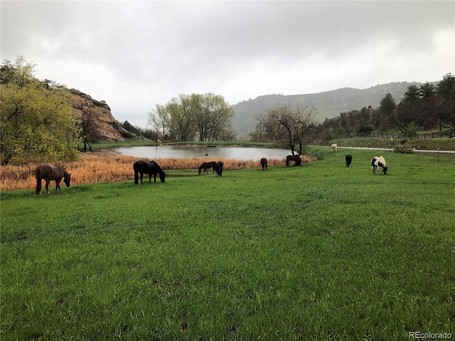 15175 W Belleview Ave, Morrison, CO 80465