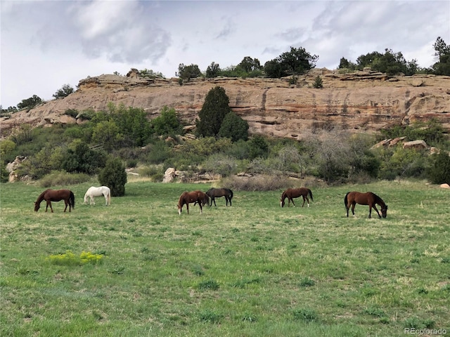 15175 W Belleview Ave, Morrison, CO 80465