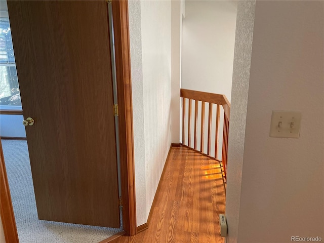 hallway featuring wood finished floors and a textured wall