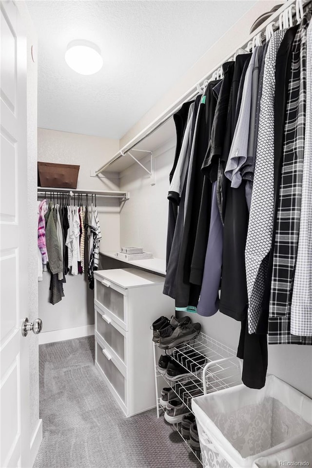 8917 Yates Dr, Westminster, CO 80031 - walk in closet featuring light carpet