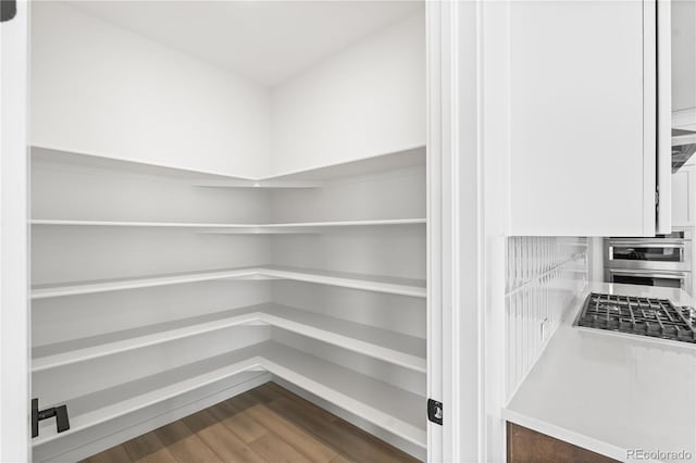 8850 Moonshimmer Trl, Littleton, CO 80125 - view of pantry