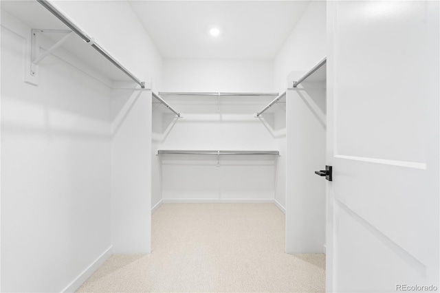 8850 Moonshimmer Trl, Littleton, CO 80125 - walk in closet with carpet floors