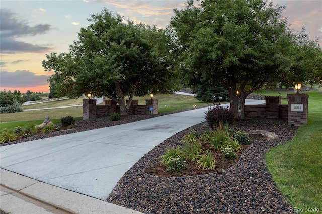 view of home's community featuring a yard