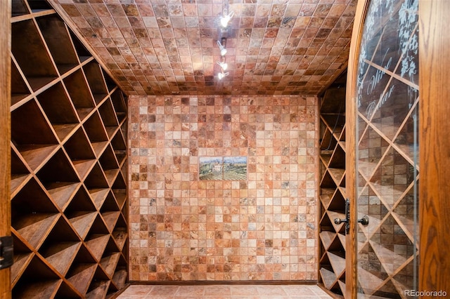 2409 E Cedar Ave, Denver, CO 80209 - view of wine cellar