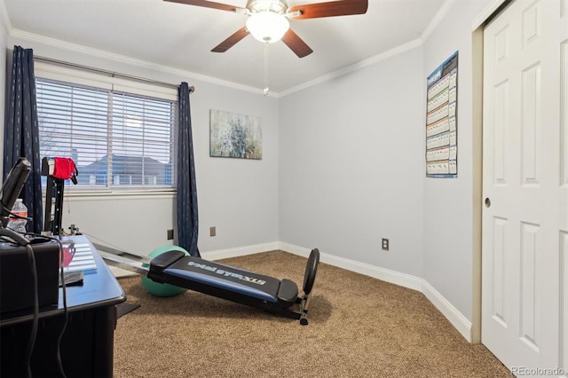 workout room with ornamental molding, carpet, and ceiling fan