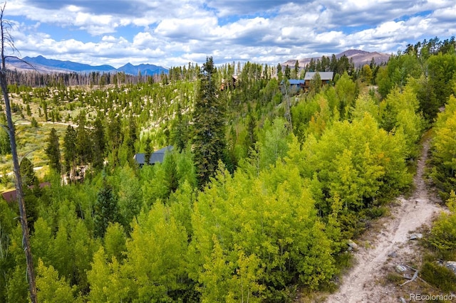 000 Pondview Ln, Grand Lake, CO 80447 - photo 4