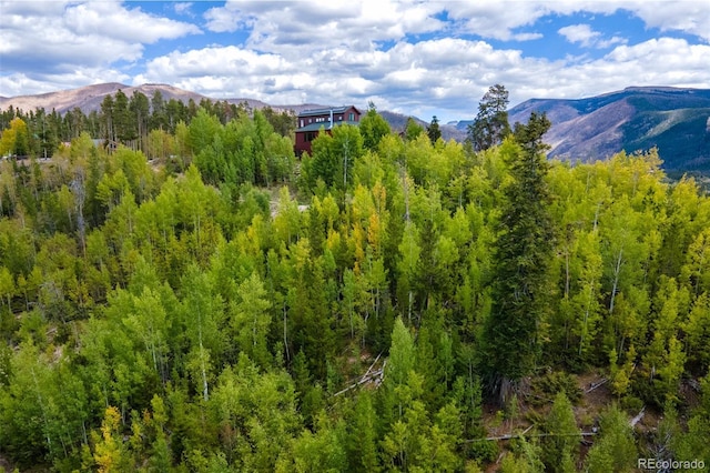 000 Pondview Ln, Grand Lake, CO 80447 - photo 6