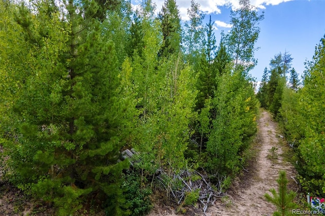 000 Pondview Ln, Grand Lake, CO 80447 - photo 8