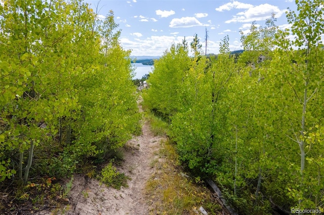 000 Pondview Ln, Grand Lake, CO 80447 - photo 9