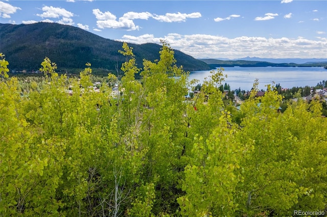 000 Pondview Ln, Grand Lake, CO 80447 - photo 12