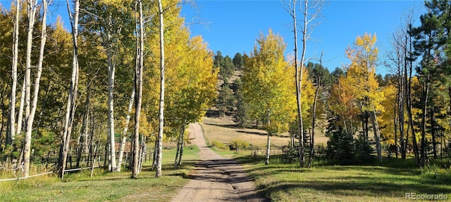 2230 County Road 72, Bailey, CO 80421 - view of home's community