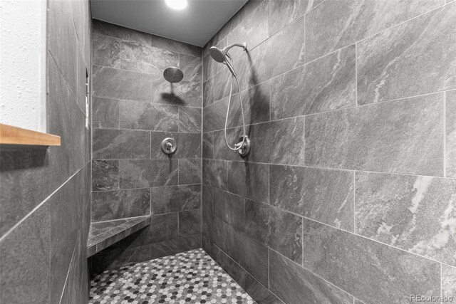 2230 County Road 72, Bailey, CO 80421 - bathroom featuring tiled shower