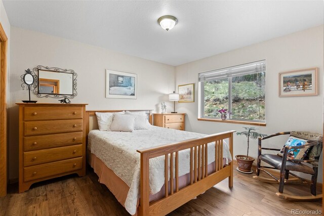 2230 County Road 72, Bailey, CO 80421 - bedroom with wood finished floors