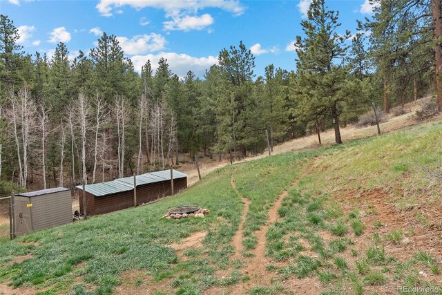 2230 County Road 72, Bailey, CO 80421 - view of yard with an outdoor structure and a wooded view