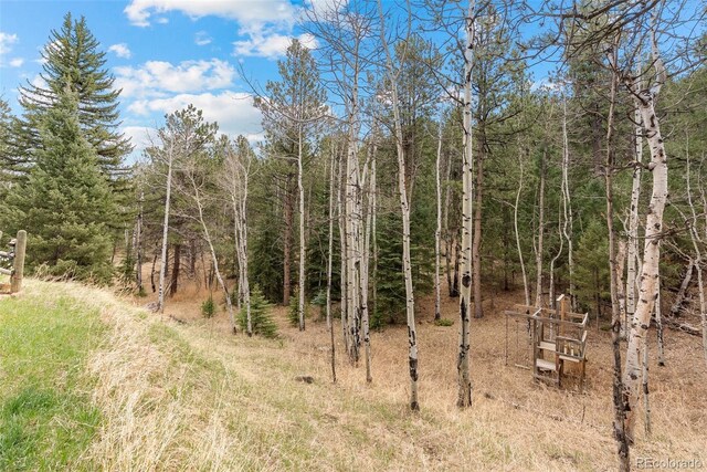 2230 County Road 72, Bailey, CO 80421 - view of wooded area