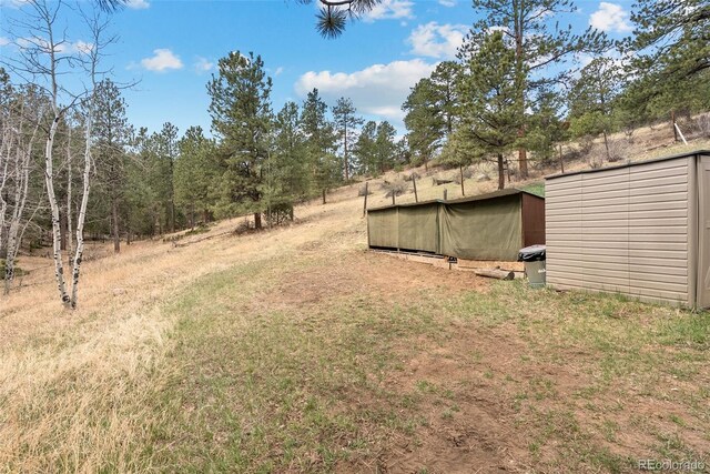 2230 County Road 72, Bailey, CO 80421 - view of yard featuring an outbuilding