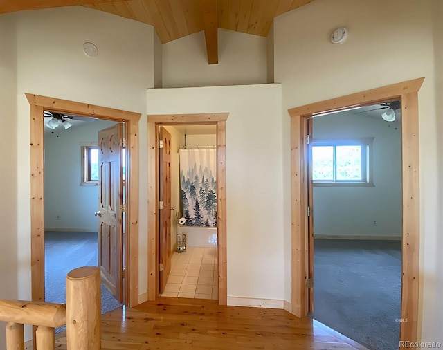 595 Dead Mule Ln, Westcliffe, CO 81252 - photo 19