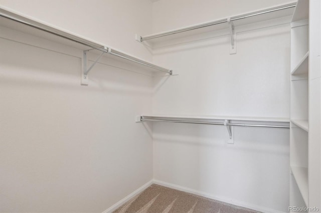 walk in closet featuring carpet