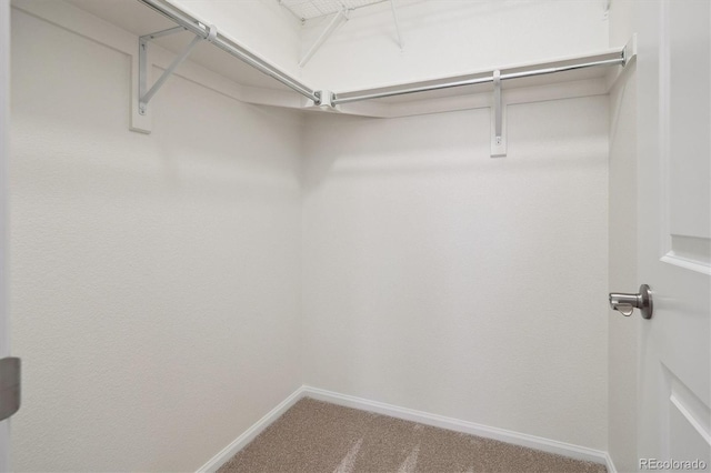 walk in closet featuring carpet
