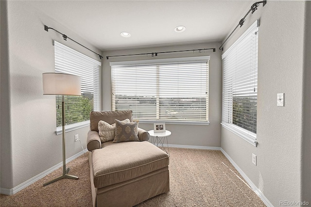 living area featuring carpet floors, recessed lighting, and baseboards