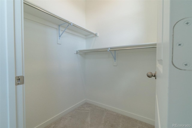 9152 Gladiola Way Unit E, Arvada, CO 80005 - spacious closet featuring carpet flooring