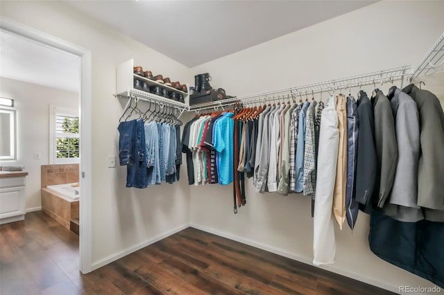 9005 Royal Melbourne Cir, Peyton, CO 80831 - walk in closet featuring dark wood finished floors