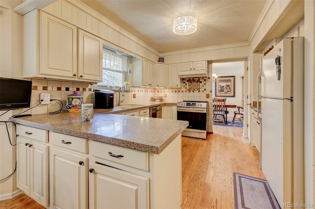 kitchen with sink, ornamental molding, stainless steel range oven, kitchen peninsula, and white fridge