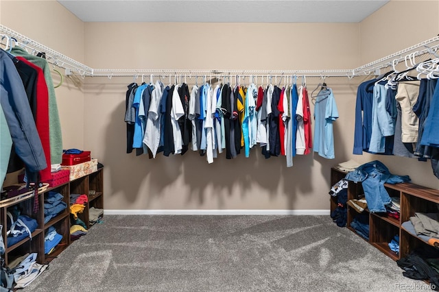 walk in closet featuring carpet flooring