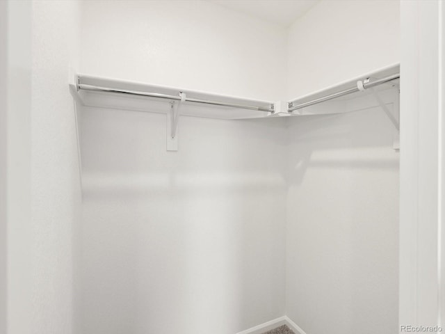 4694 Sugarcane St, Johnstown, CO 80534 - view of spacious closet