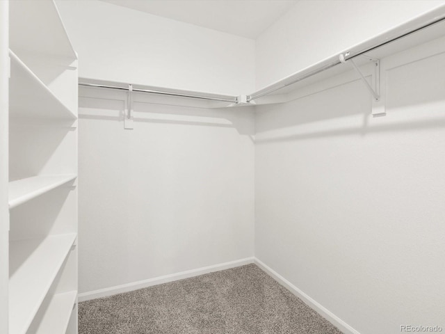 4694 Sugarcane St, Johnstown, CO 80534 - spacious closet with carpet