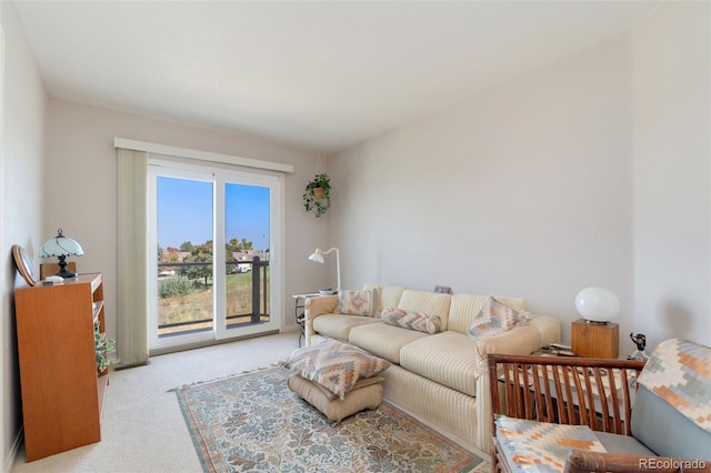 3337 W 113th Ave, Westminster, CO 80031 - view of carpeted living room