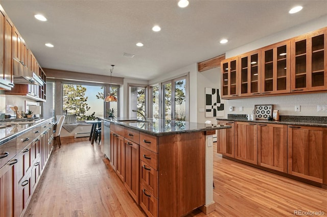 9041 Eastridge Rd, Golden, CO 80403 - kitchen with stainless steel appliances, light wood finished floors, under cabinet range hood, a sink, and recessed lighting