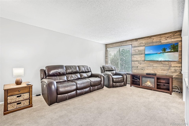 9630 W 104th Ave, Broomfield, CO 80021 - carpeted living area with wooden walls, a textured ceiling, and a glass covered fireplace