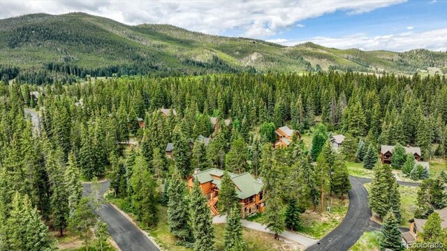 7 Golden Rod Cir, Keystone, CO 80435 - photo 40