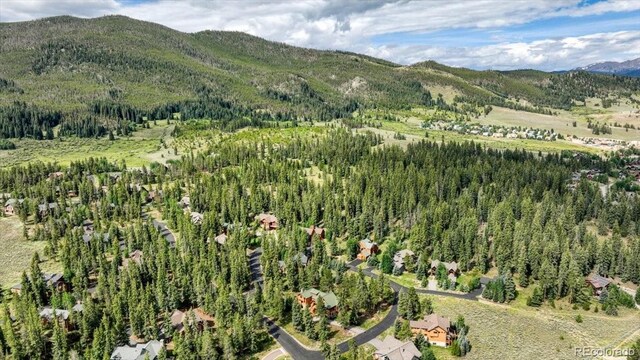 7 Golden Rod Cir, Keystone, CO 80435 - photo 41